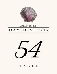 Seashell Assortment  Table Numbers
