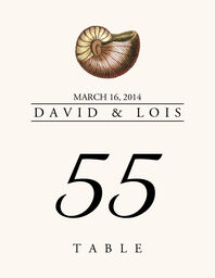Seashell Assortment  Table Numbers