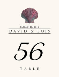 Seashell Assortment  Table Numbers