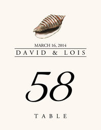 Seashell Assortment  Table Numbers
