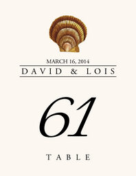 Seashell Assortment  Table Numbers