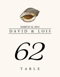 Seashell Assortment  Table Numbers