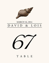 Seashell Assortment  Table Numbers