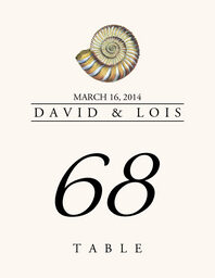 Seashell Assortment  Table Numbers