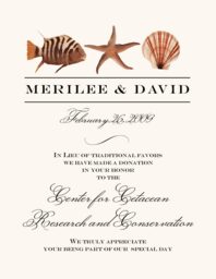 Fish and Seashell Pattern 10  Donation Cards