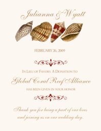 Seashell Pattern 06 Donation Cards