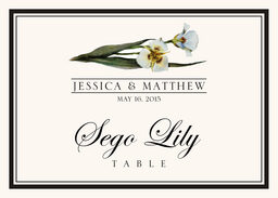 Assorted Flowers and Monogram  Table Names