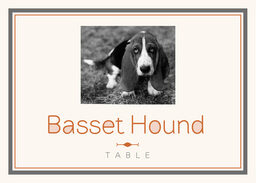 Simple Affair Photography Table Names