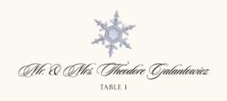 Snowflake Assortment Place Cards