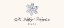 Snowflake Assortment Place Cards