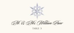 Snowflake Assortment Place Cards