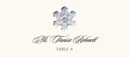 Snowflake Assortment Place Cards