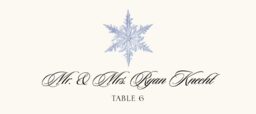 Snowflake Assortment Place Cards