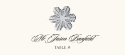 Snowflake Assortment Place Cards