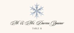 Snowflake Assortment Place Cards