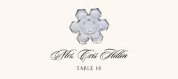 Snowflake Assortment  Place Cards