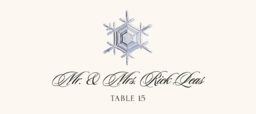 Snowflake Assortment  Place Cards