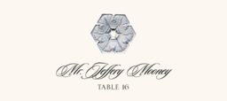 Snowflake Assortment  Place Cards