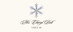 Snowflake Assortment  Place Cards
