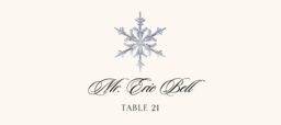 Snowflake Assortment  Place Cards