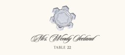 Snowflake Assortment  Place Cards