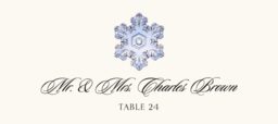 Snowflake Assortment  Place Cards