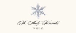 Snowflake Assortment  Place Cards