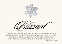 Snowflake Assortment Memorabilia Cards