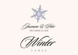 Snowflake Assortment Table Names