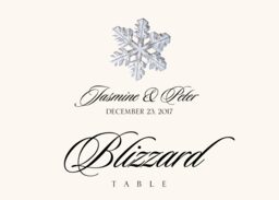 Snowflake Assortment Table Names