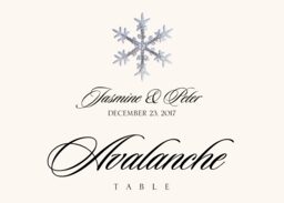 Snowflake Assortment  Table Names