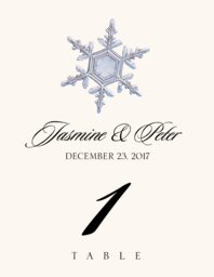 Snowflake Assortment Table Numbers