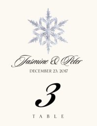 Snowflake Assortment Table Numbers