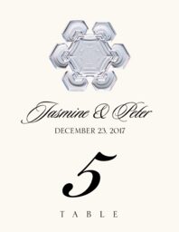 Snowflake Assortment Table Numbers