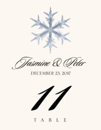 Snowflake Assortment Table Numbers