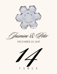 Snowflake Assortment  Table Numbers