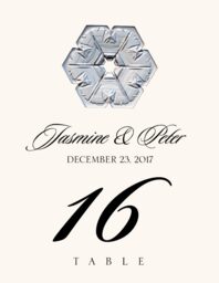 Snowflake Assortment  Table Numbers