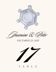 Snowflake Assortment  Table Numbers