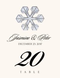 Snowflake Assortment  Table Numbers