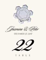 Snowflake Assortment  Table Numbers