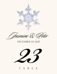 Snowflake Assortment  Table Numbers