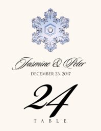 Snowflake Assortment  Table Numbers