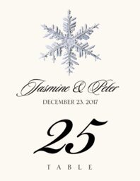 Snowflake Assortment  Table Numbers
