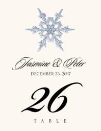 Snowflake Assortment  Table Numbers