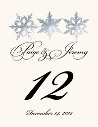 Snowflake Pattern 01 Table Numbers
