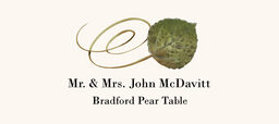 Bradford Pear Swirly Leaf  Place Cards