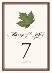 Colorful Leaves Assortment 01 Table Numbers