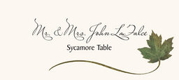 Assorted Wispy Leaves  Place Cards