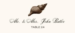 Antique Seashell Collector  Place Cards