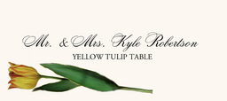 Tulip Bulbs Place Cards